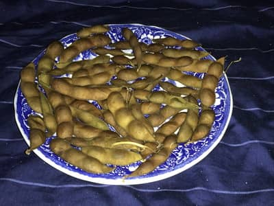 水っぽい枝豆