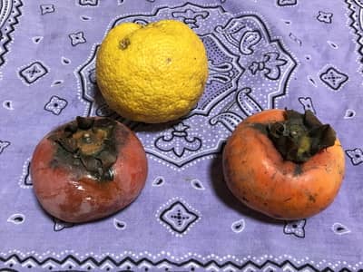 柿ジャムの材料